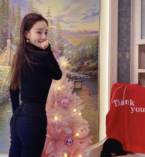 网红名媛爆料视频大全,真实生活背后的惊人内幕